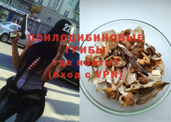 спиды Мегион