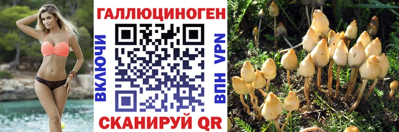 продажа наркотиков  Каргат  Псилоцибиновые грибы прущие грибы 